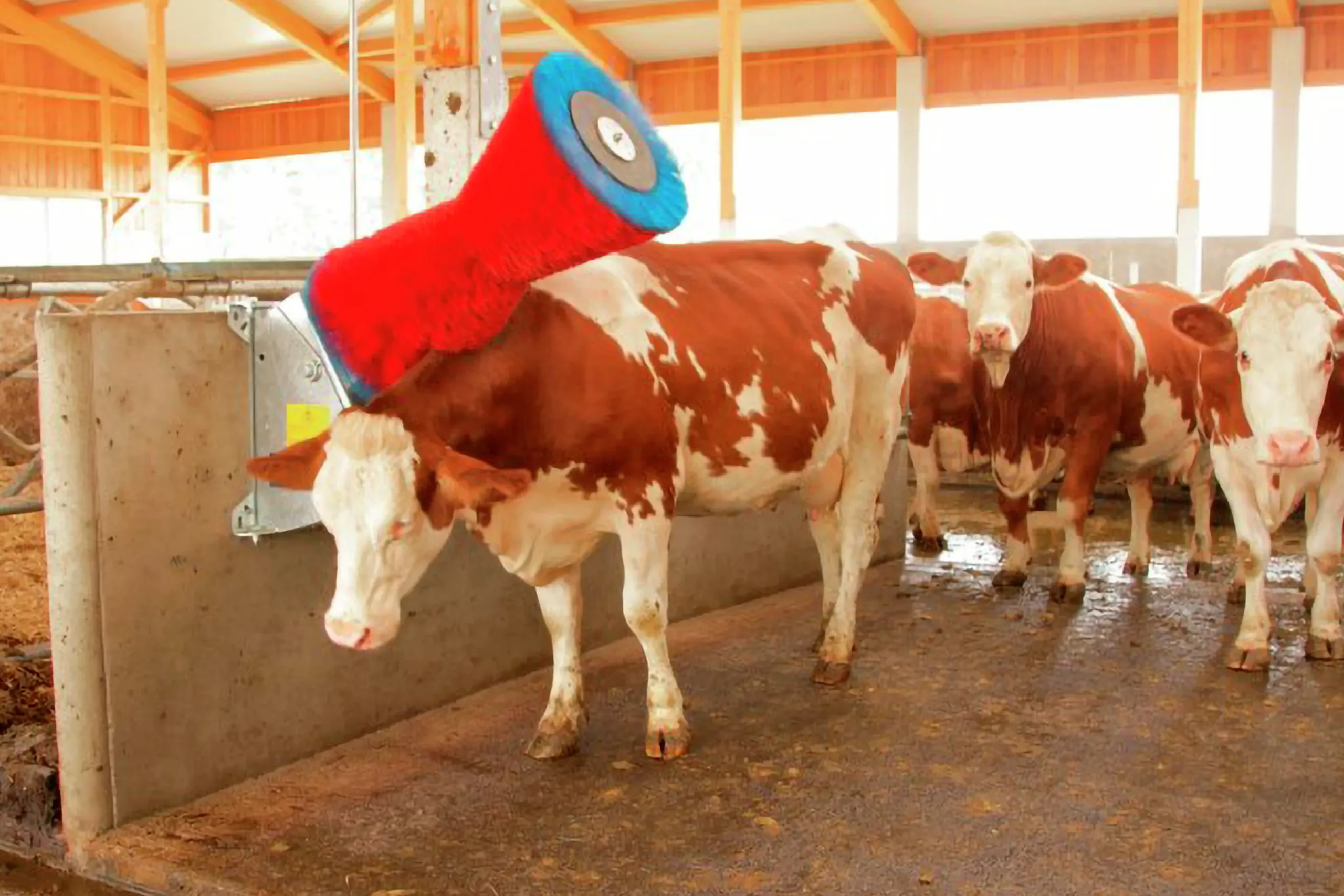 Koborste Kerbl HappyCow Uno