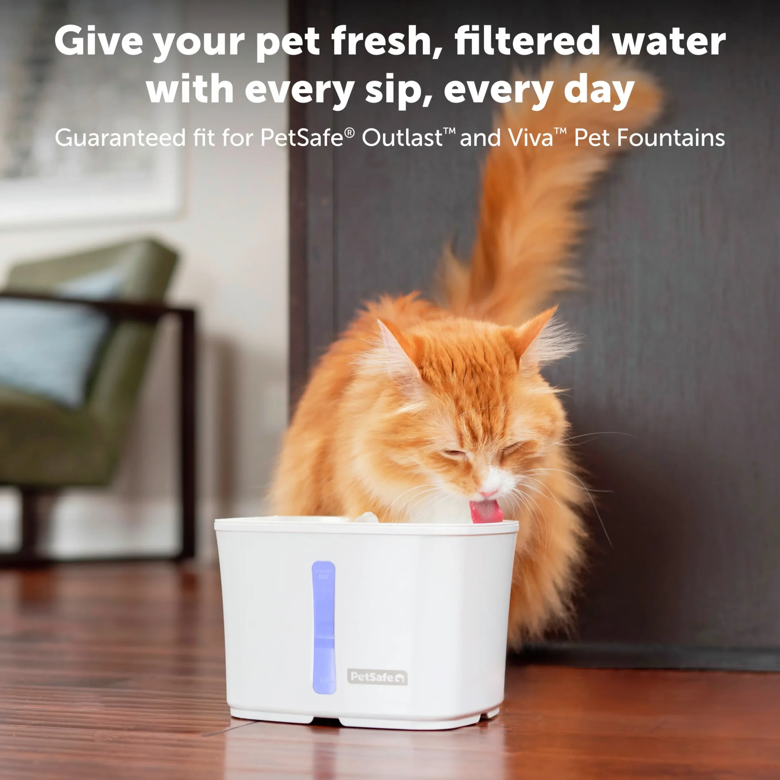 Kolfilter Petsafe Ion-X 4-p