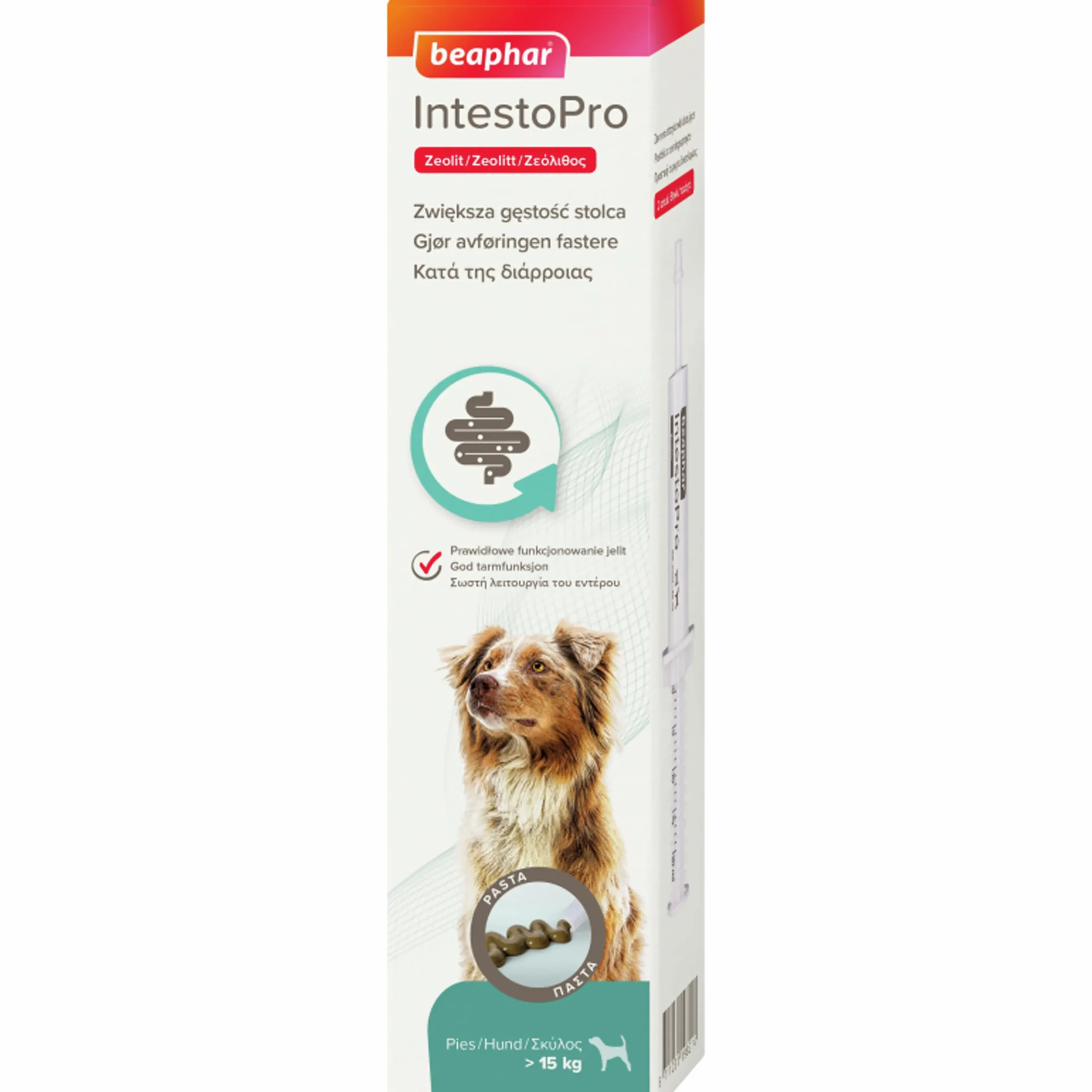 Kosttillskott Beaphar IntestoPro Pasta över 15kg