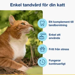 Kosttillskott PlaqueOff Pulver till katt 40g