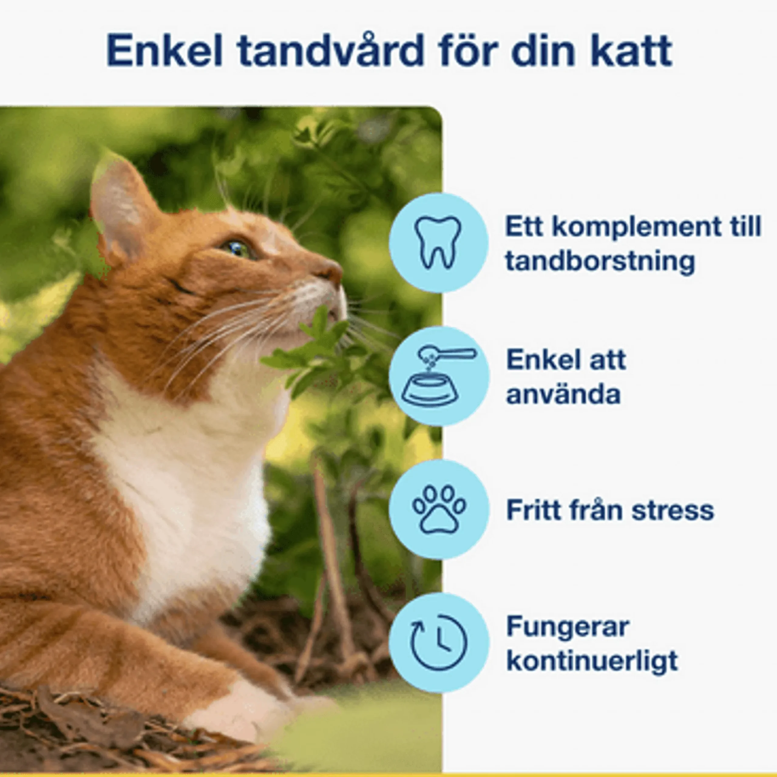 Kosttillskott PlaqueOff Pulver till katt 40g