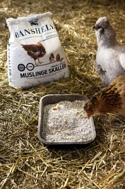 Kosttillskott Snäckskal 15kg