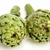 Kronärtskocka lat. Cynara cardunculus
