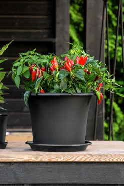 Kruka Orthex Botanica Återvunnen plast