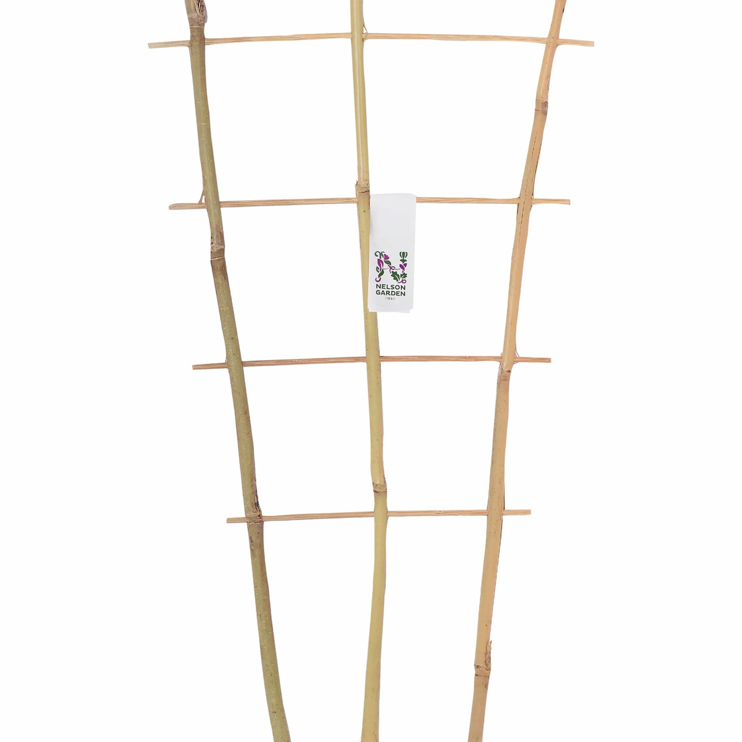 Krukspaljé Nelson Garden Bambu 60cm