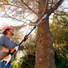 Kvistsåg STIHL HTA 50 36V (exkl. batteri)