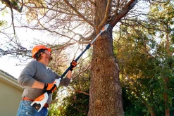 Kvistsåg STIHL HTA 50 36V (exkl. batteri)