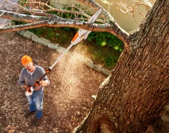 Kvistsåg STIHL HTA 50 36V (exkl. batteri)