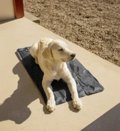 Kyldyna Dogman Grå
