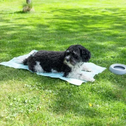 Kyldyna Dogman Rutig