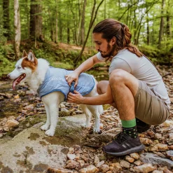 Kylväst Hund Kurgo Core Grå