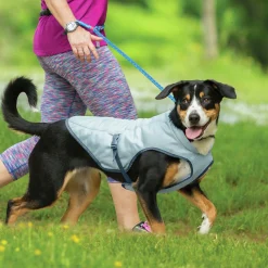 Kylväst Hund Kurgo Core Grå