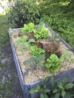 Lättströ Granngården Hampa 10kg