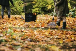 Lövräfsa Fiskars Prima