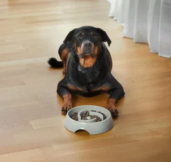 Matskål Dogman Alva Slow Feed