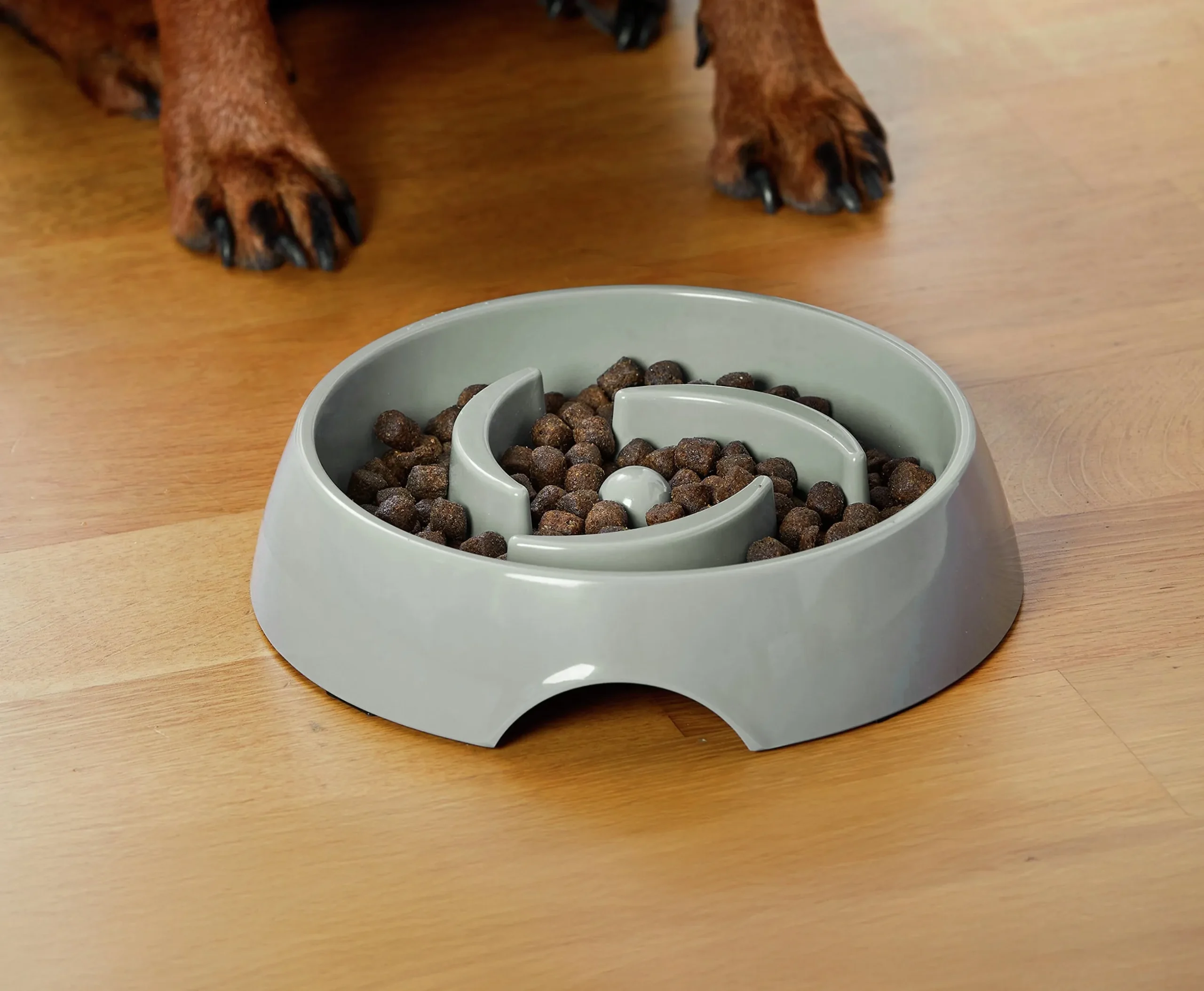 Matskål Dogman Alva Slow Feed