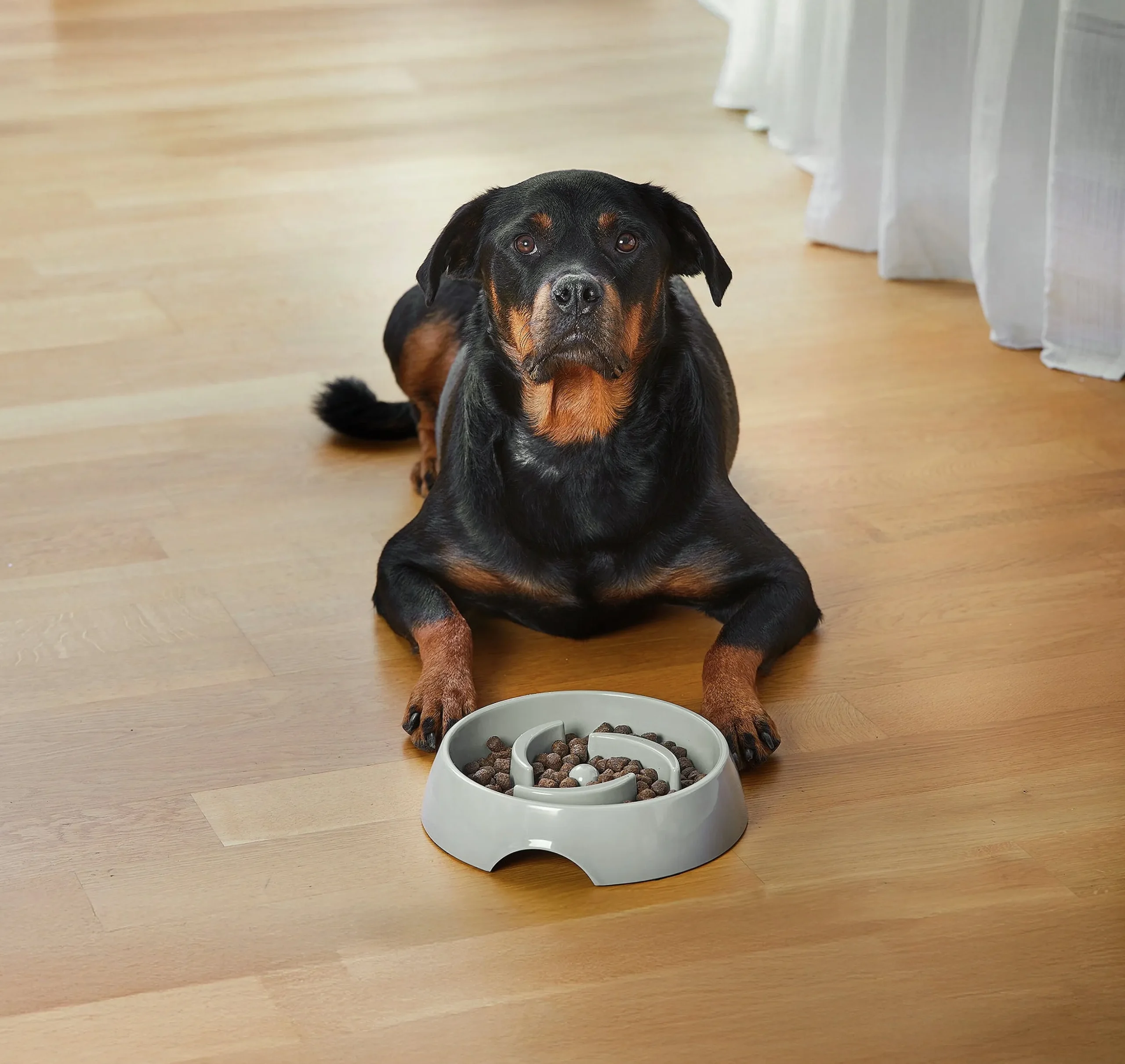 Matskål Dogman Alva Slow Feed