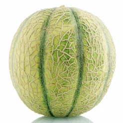 Melon lat. Cucumis melo 'Harvest King'