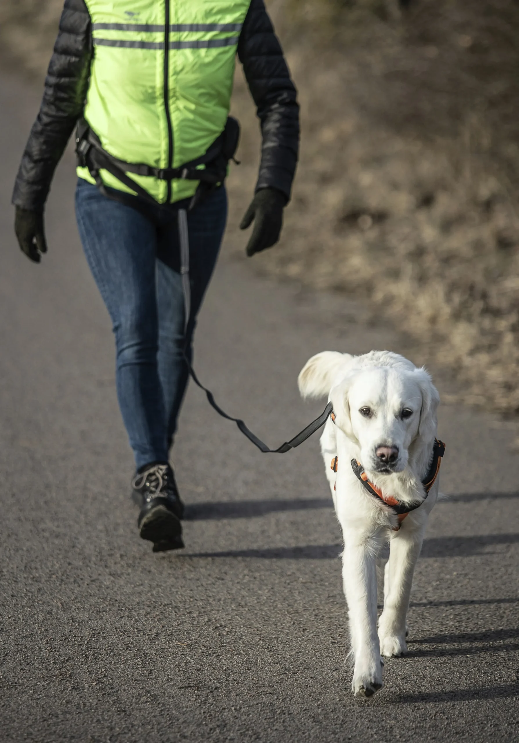 Midjebälte Dogman Emmi Svart