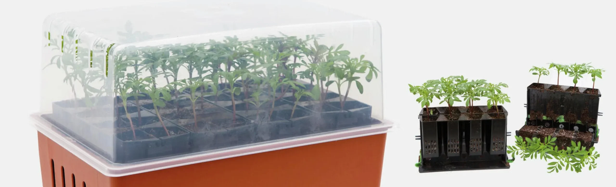 Minidrivhus Nelson Garden Rootmaster Brun 19,5x29x21cm