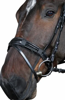 Mulskydd Horseguard Svart Full