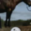 Multisalva Fair Horse Care 150ml