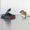 Musfälla Swissinno SuperCat Pro 10-p +bete