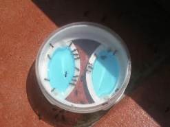 Myrmedel Neudorff Effekt Myrdosa påfyllningsbar m bete 2-p