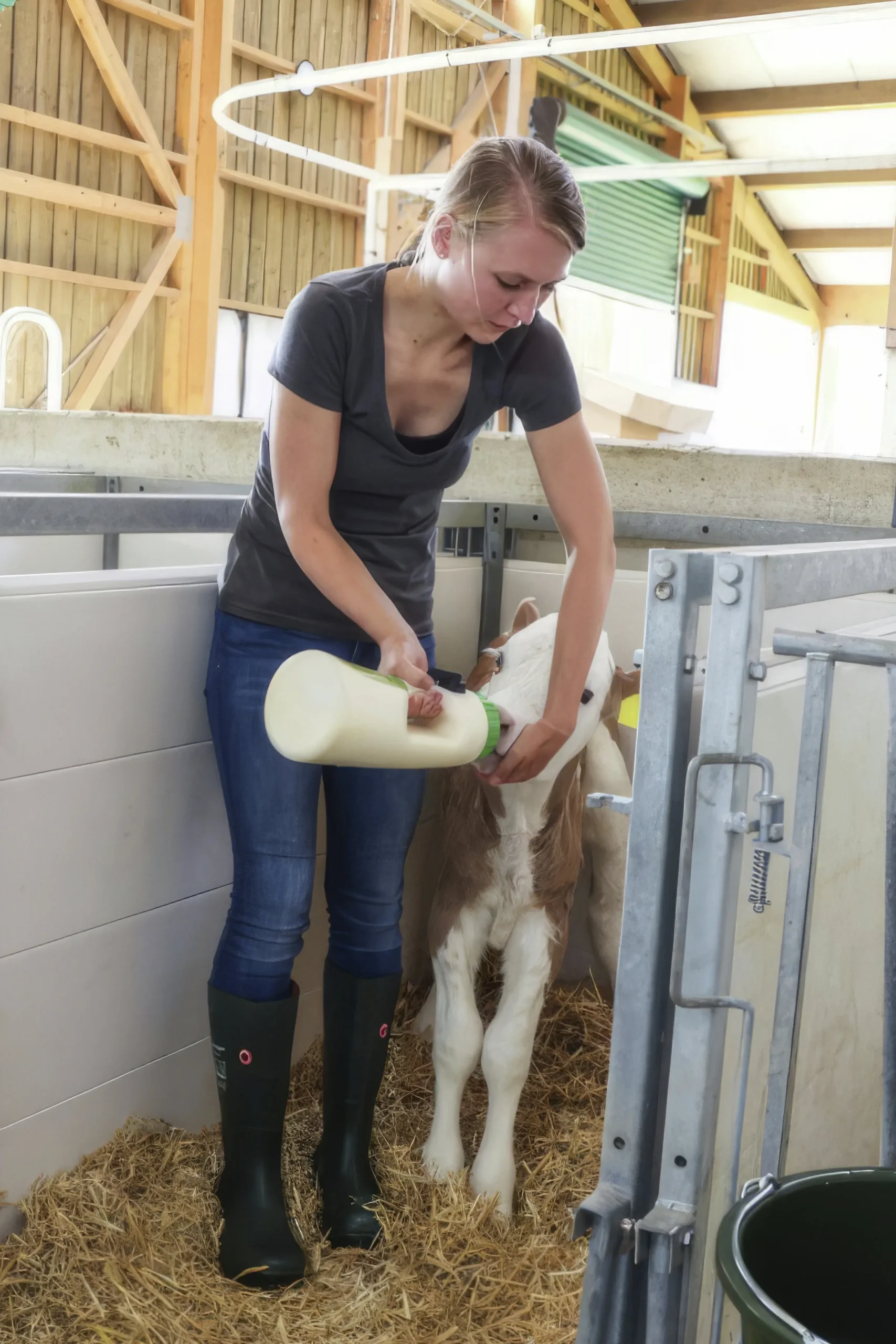 Nappflaska Shoof till kalv Speedy Feeder 2,5L