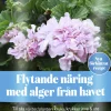 Näring Algomin Flytande 1L