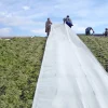 Plansilofolie Poly-produkter 10x30m 115my