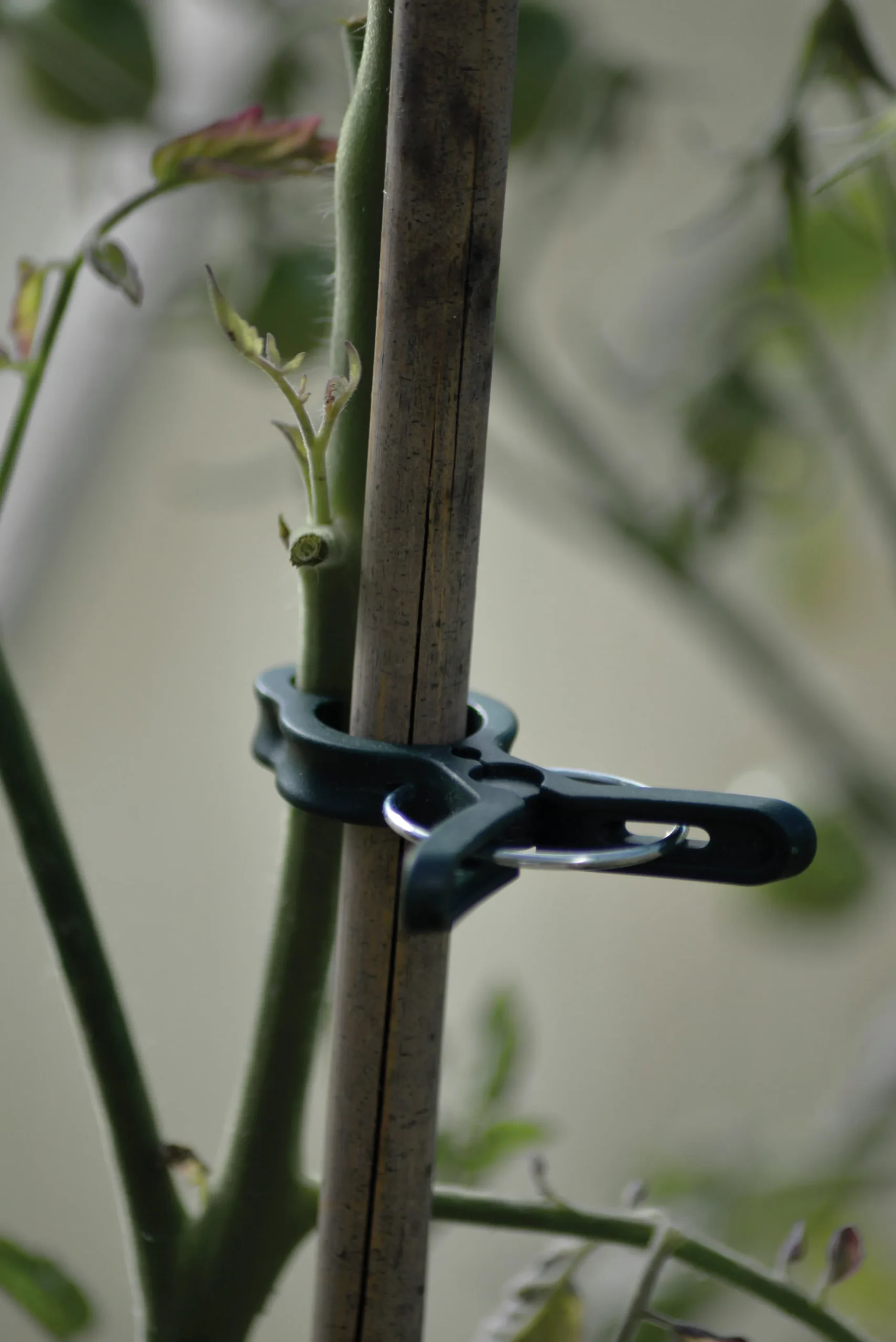 Plantclips Nelson Garden Strong 20-p