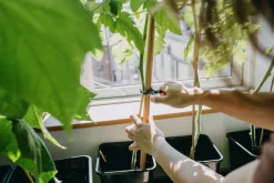 Plantclips Nelson Garden Strong 20-p