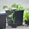 Plastkruka Nelson Garden Fyrkantig Svart 25x25x26cm