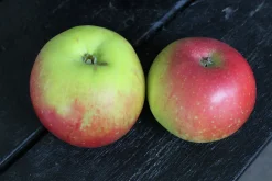 Äpple 'Aroma'