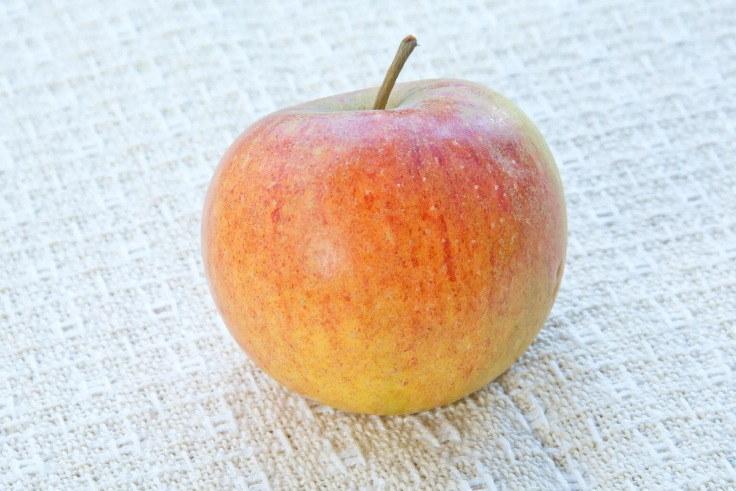 Äpple 'Cox Pomona' Krukodlad