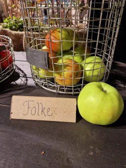 Äpple 'Folke'
