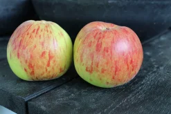 Äpple 'Höstdessert'