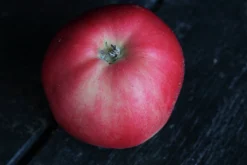 Äpple 'Mio'