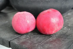 Äpple 'Röd Melba'
