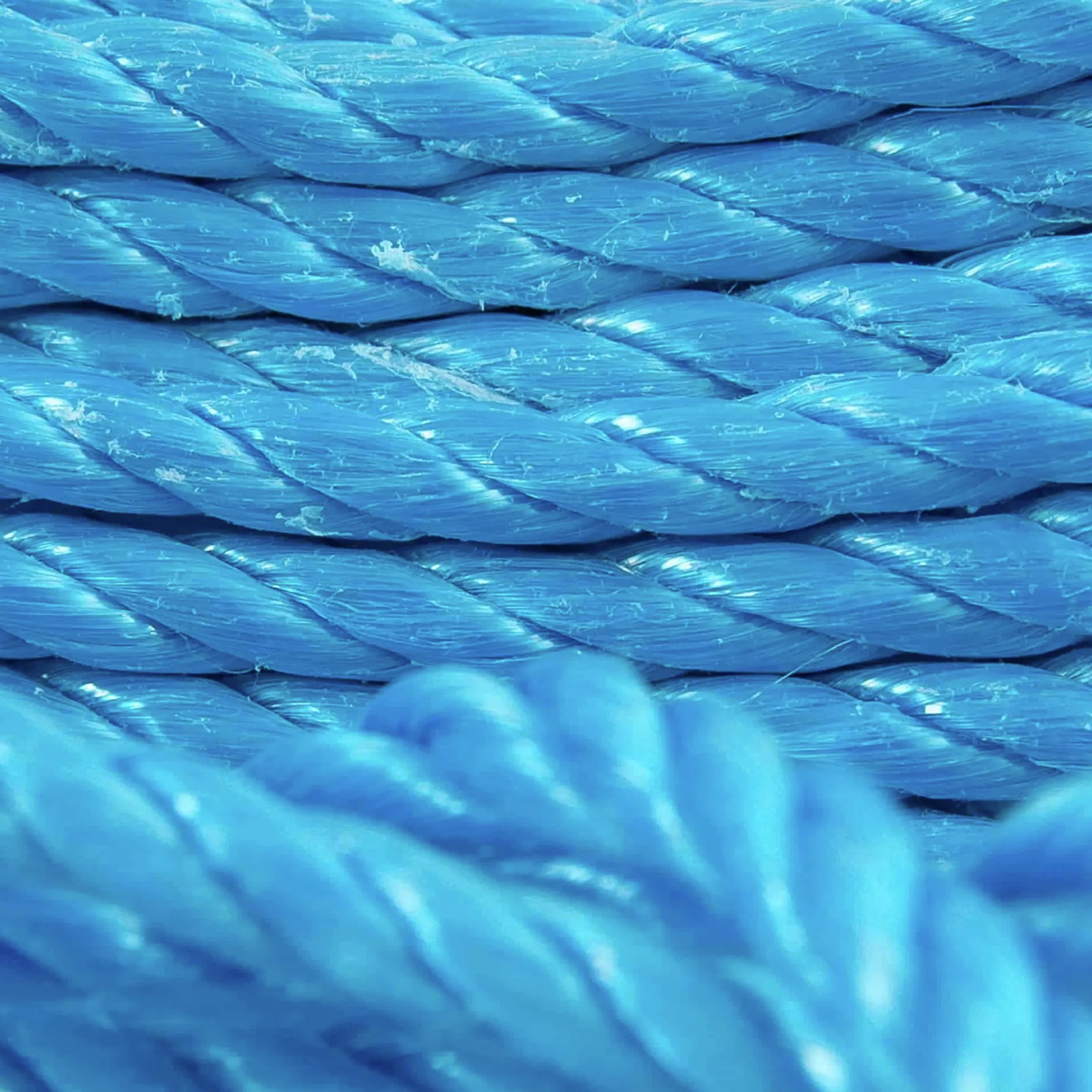Presenningslina Poly-produkter polyester blå 6mmx20m