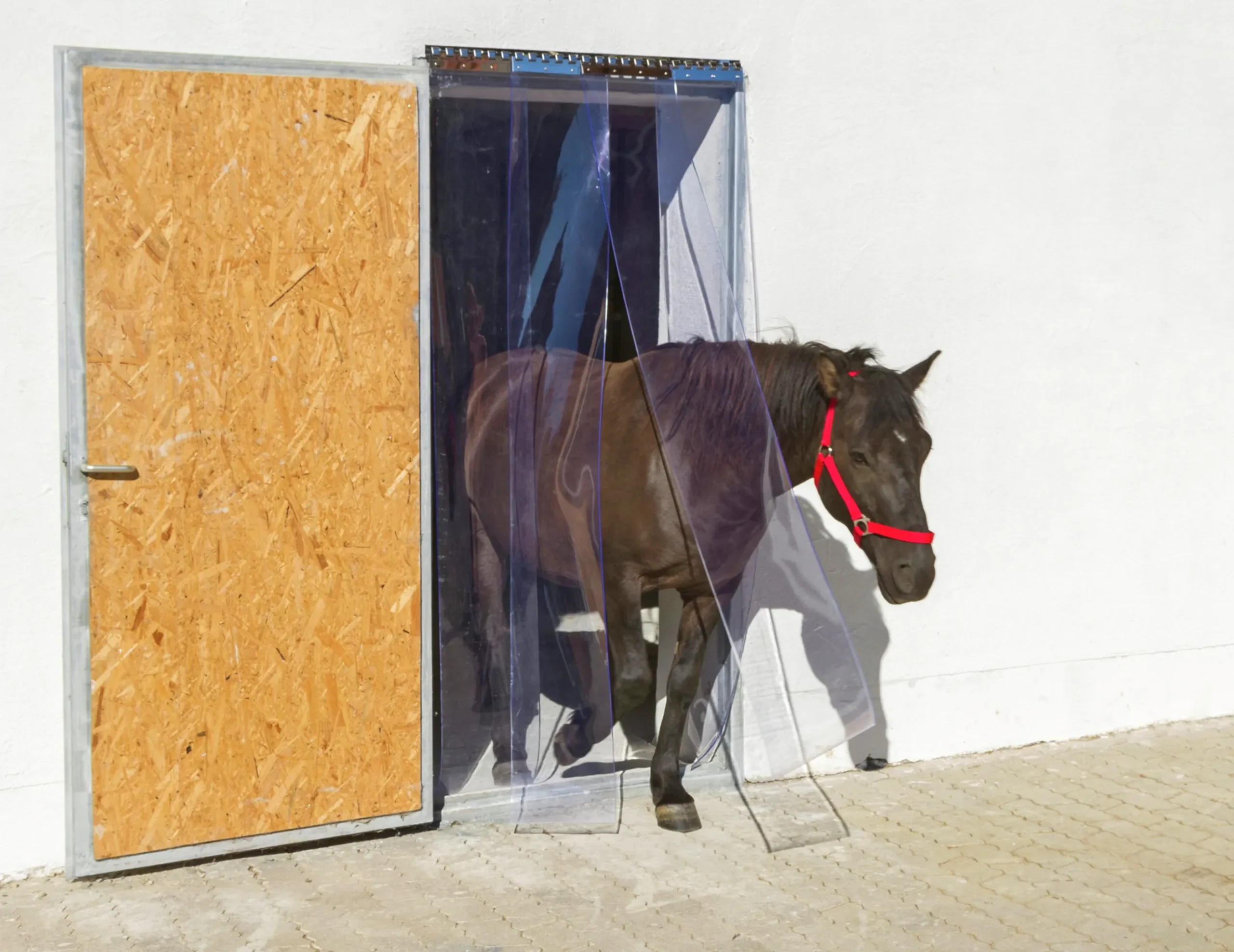 PVC-ridå Kerbl transparent 200x2mm 25m
