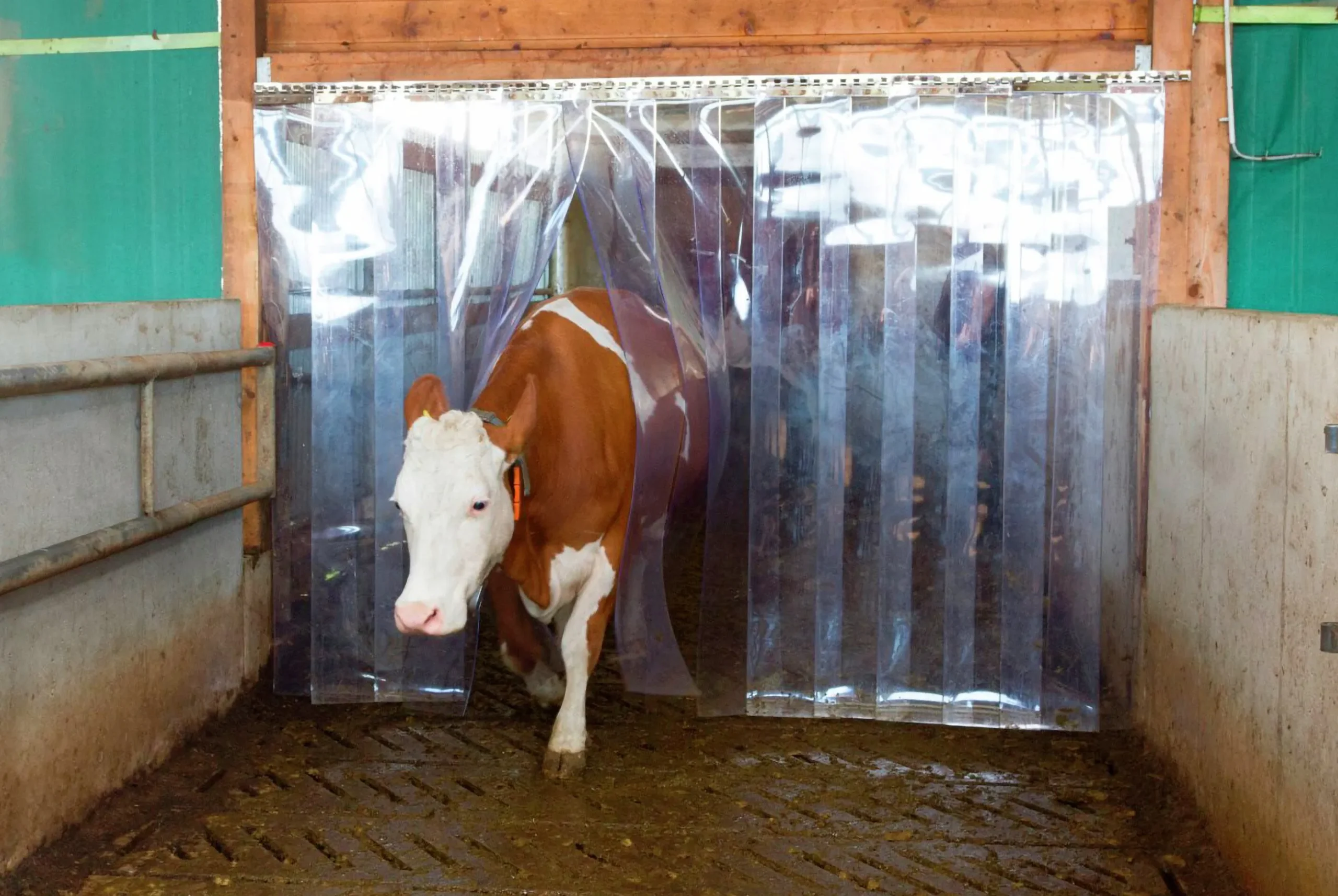 PVC-ridå Kerbl transparent 200x3mm 25m