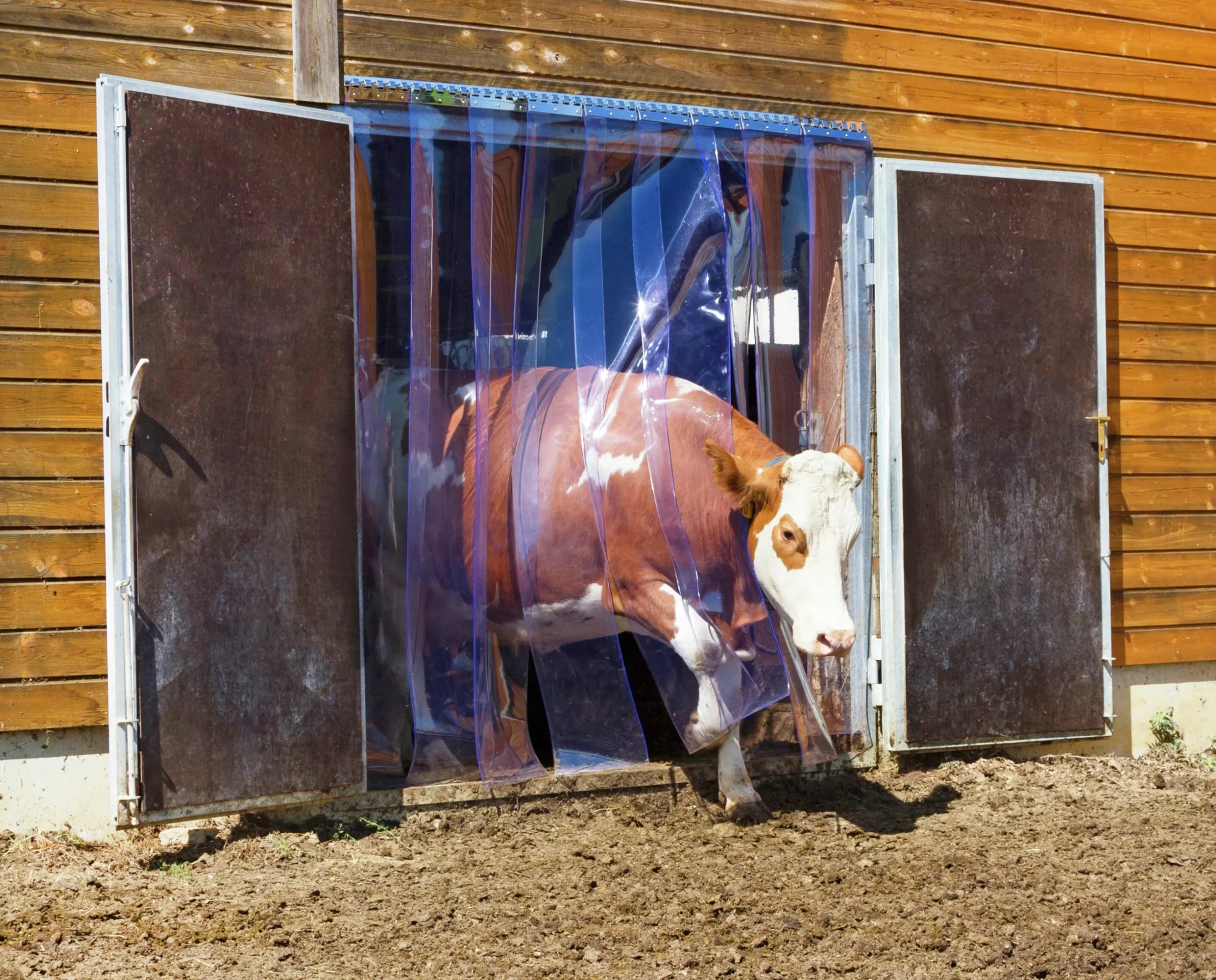 PVC-ridå Kerbl transparent 300x3mm 25m