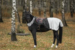 Reflexridtäcke Hansbo Sport Svart