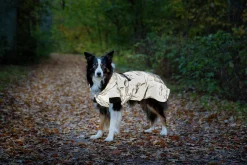 Reflextäcke Dogman Ralf Grå