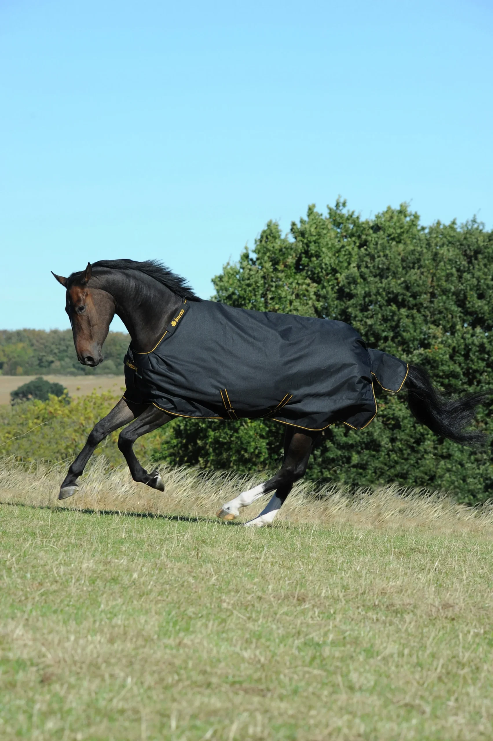 Regntäcke Bucas Irish Turnout Light 1200D 50g Svart