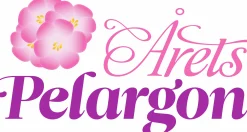 Årets Pelargon 2026 'Hilma'