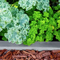 Örtjord & Grönsaksjord Hasselfors KRAV 40L