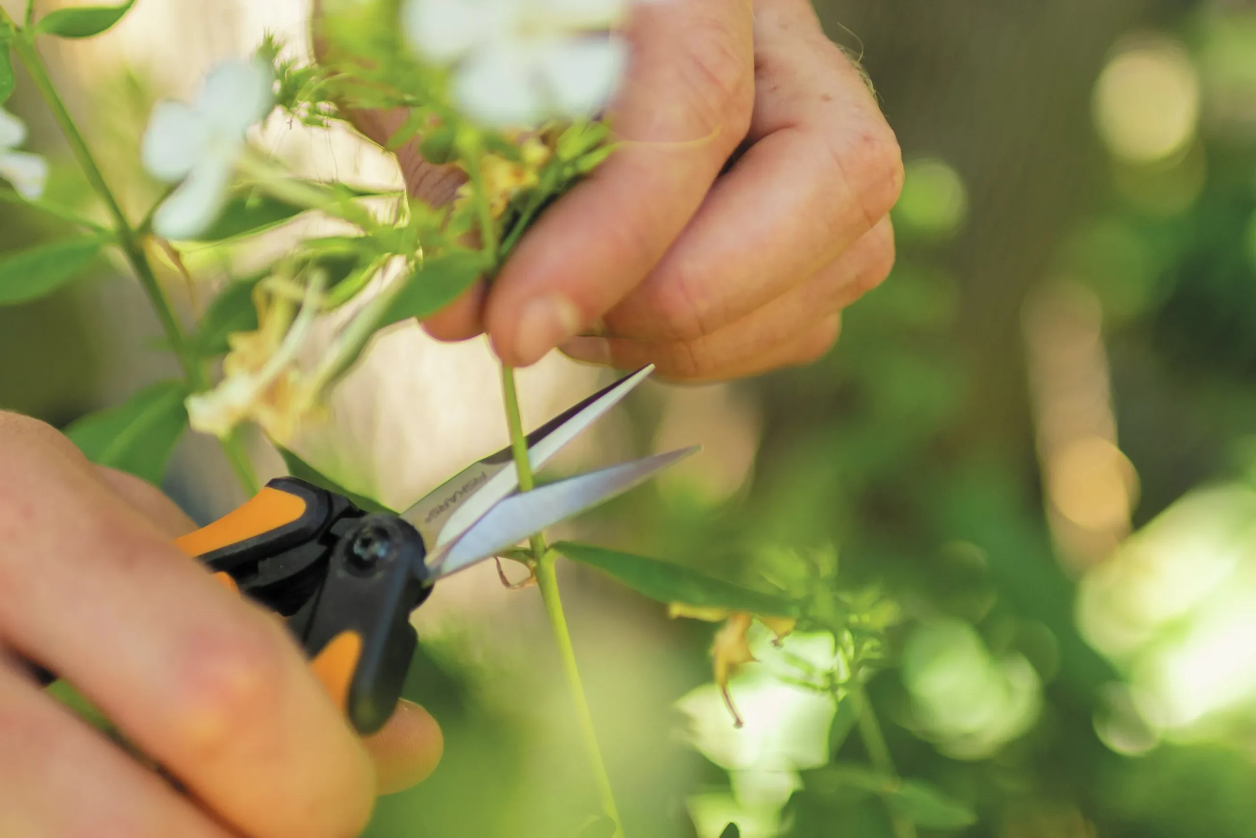 Örtsax Fiskars Snip SP130